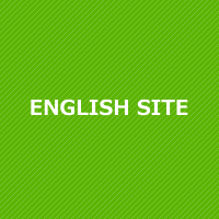 English Site